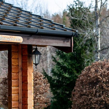 Loch Insh Chalets Ltd Kincraig Exterior foto